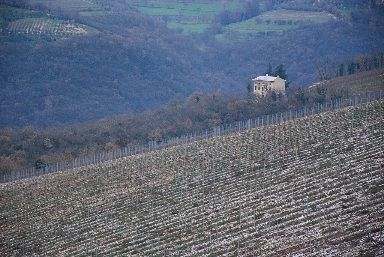 Valpolicella